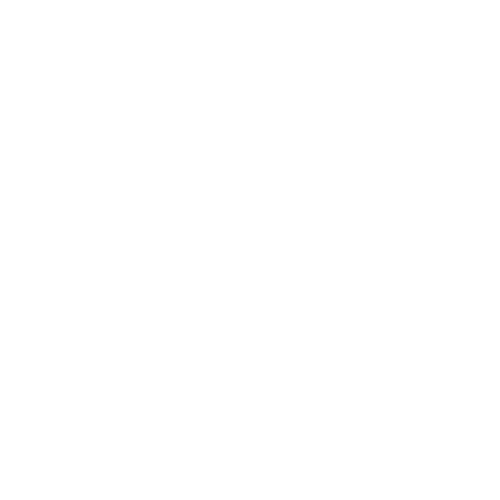 Dude Wipes Logo